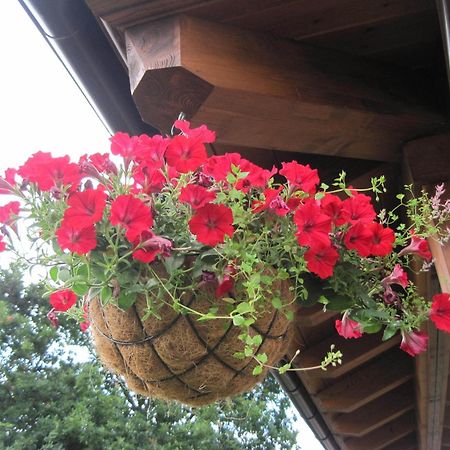 Hotel San Jorge Нуева де Лянес Екстериор снимка